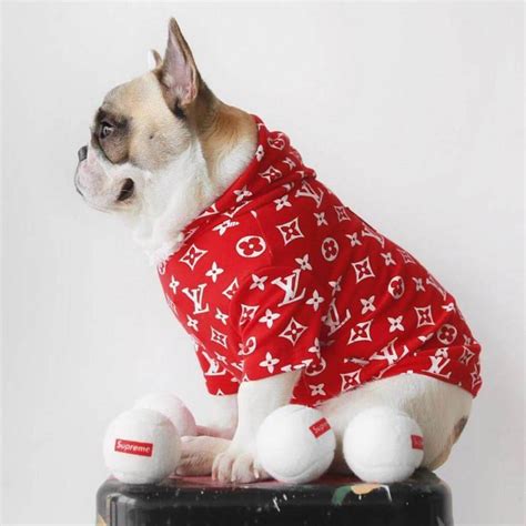 supreme louis vuitton dog clothes